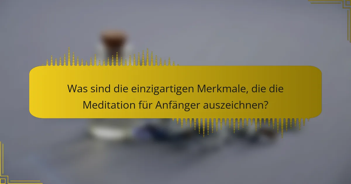 Was sind die einzigartigen Merkmale, die die Meditation für Anfänger auszeichnen?