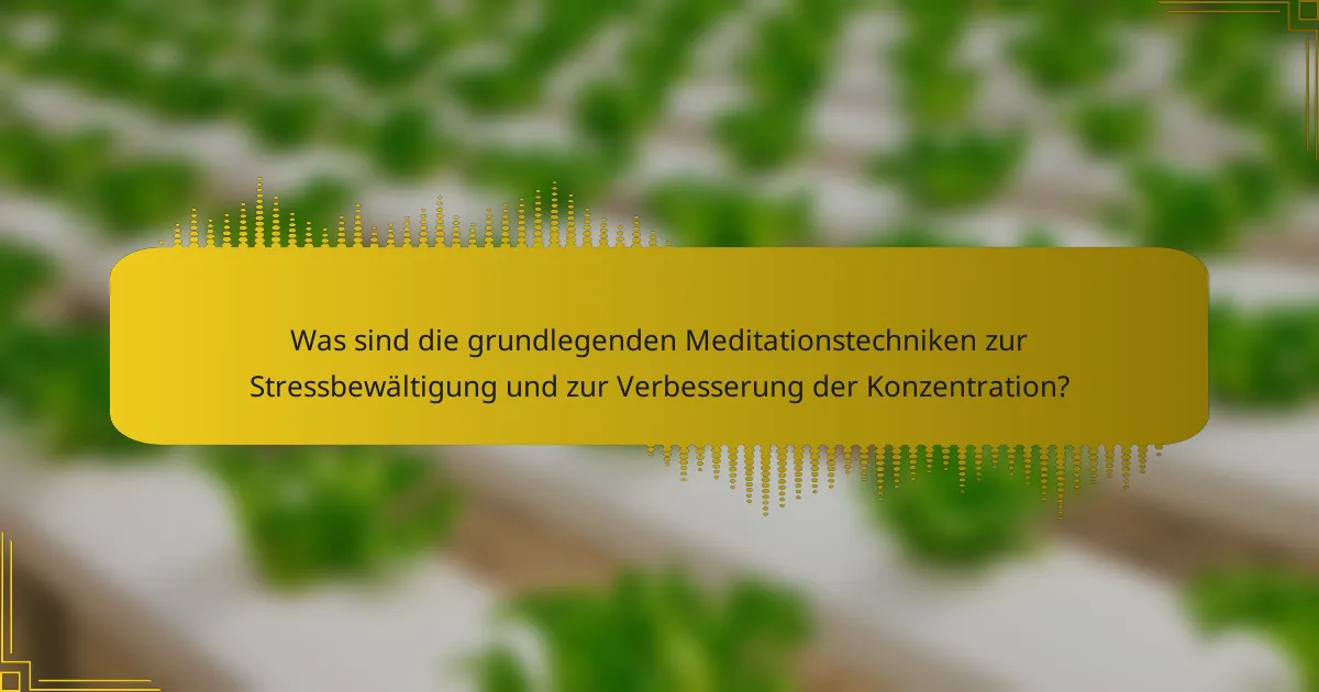 Was sind die grundlegenden Meditationstechniken zur Stressbewältigung und zur Verbesserung der Konzentration?