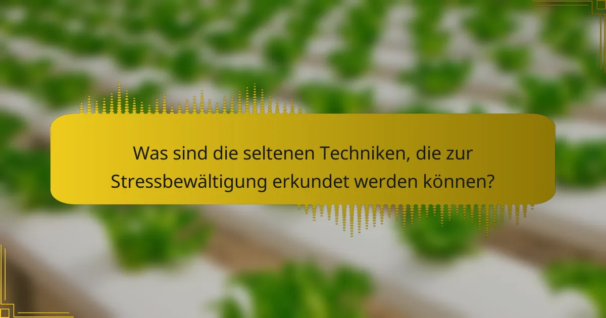 Was sind die seltenen Techniken, die zur Stressbewältigung erkundet werden können?